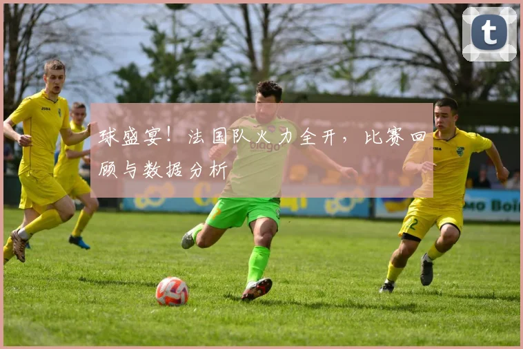 球盛宴！法国队火力全开，比赛回顾与数据分析